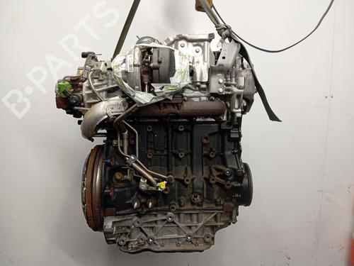 Engine RENAULT LAGUNA Coupe (DT0/1) 2.0 dCi (DT01, DT08, DT09, DT0K, DT12, DT1C, DT1D, DT1M,... | BP29633161M1