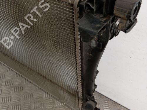Water radiator FIAT TIPO Hatchback (356_, 357_) 1.4 (356HXF1B) | BP29252035M31 