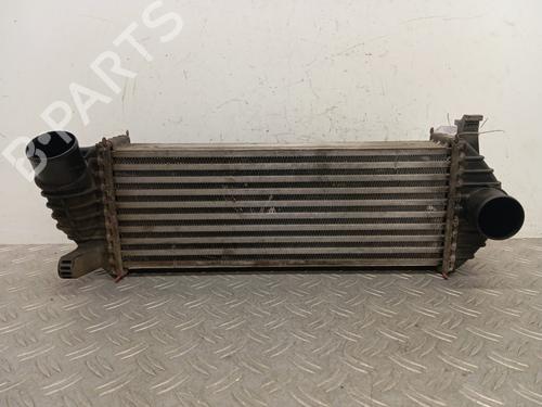 Intercooler RENAULT KANGOO / GRAND KANGOO II (KW0/1_) 1.5 dCi 90 (KW05, KW08, KW0G, KW11) | BP28338133M30
