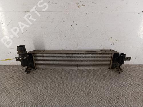Used Intercooler Intercooler RENAULT KOLEOS I (HY_) 2.0 dCi 4x4 (HY0K) (150 hp) 34709800 34709800