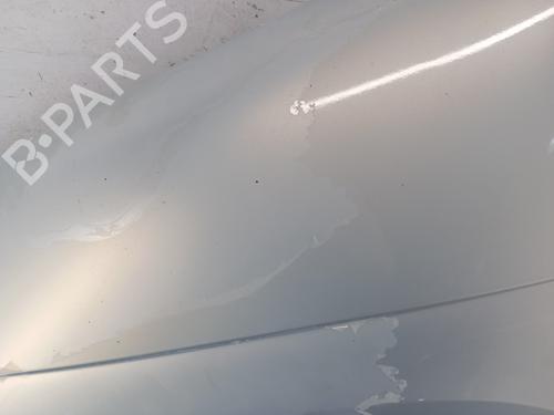 Used Left front fenders Left front fenders RENAULT SCÉNIC I MPV (JA0/1_, FA0_) [1999-2010] 35930862 35930862