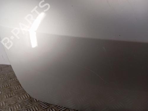 Tailgate RENAULT CLIO III (BR0/1, CR0/1) 1.5 dCi (BR17, CR17) | BP29616516C6 