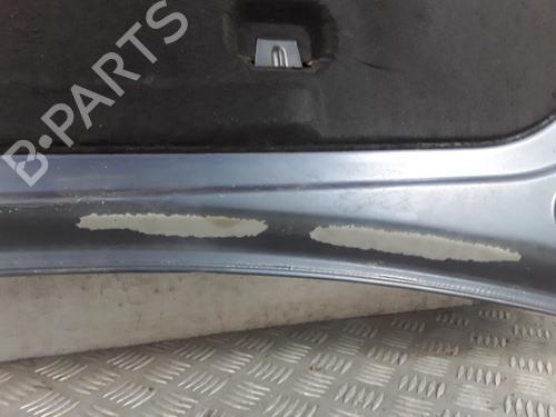 Hood RENAULT CLIO III (BR0/1, CR0/1) 1.5 dCi (BR17, CR17) | BP28338424C1 