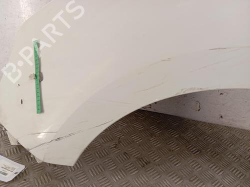 left-front-fenders-renault-kangoo-express-fw01_-2008-36589452 main image