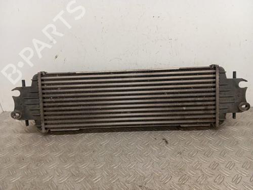 Used Intercooler Intercooler RENAULT TRAFIC II Van (FL) 1.9 dCi 80 (FL0B) (82 hp) 28341728 28341728