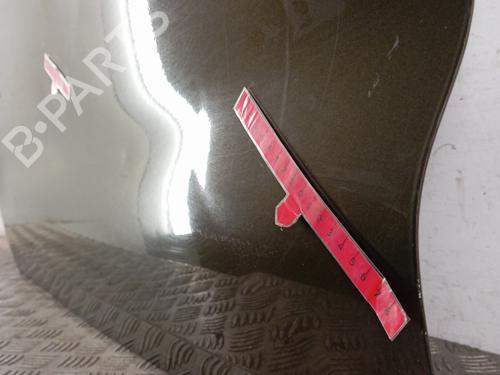 Left front door CITROËN DS4 (NX_) 1.6 HDi 115 | BP29845139C2