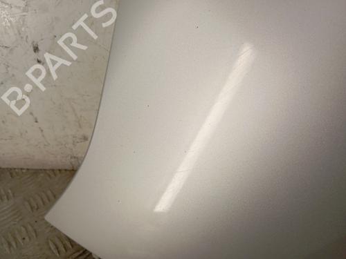 Left front fenders RENAULT SCÉNIC III (JZ0/1_) 1.9 dCi (JZ0J, JZ1J, JZ1K, JZ1S) | BP28344017C41 