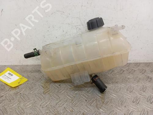 Used Expansion tank RENAULT KANGOO Express (FW0/1_) 1.5 dCi 90 (FW0G, FW05, FW08, FW11) (90 hp) 28344361