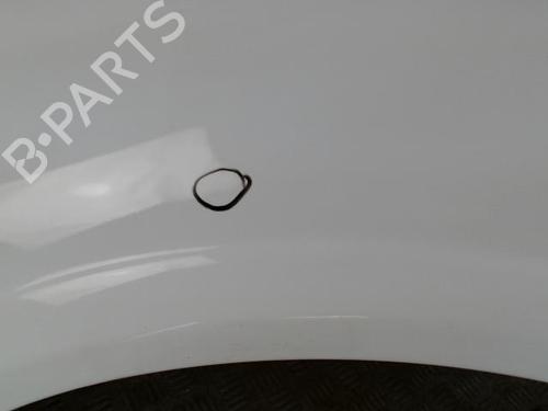 Left front fenders NISSAN ALMERA II Hatchback (N16) 1.5 dCi | BP28342249C41 