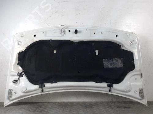 Hood RENAULT MEGANE II (BM0/1_, CM0/1_) 1.5 dCi (BM1E, CM1E) | BP28340519C1 