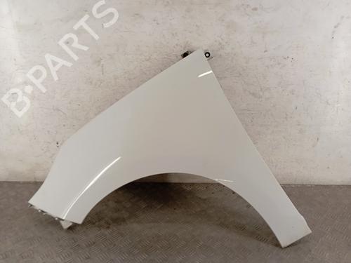 Used Left front fenders RENAULT SCÉNIC III (JZ0/1_) 1.5 dCi (110 hp) 28347199