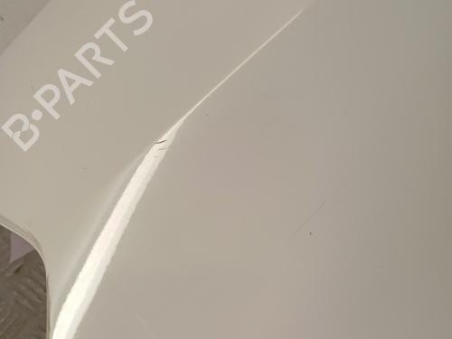 Left front fenders RENAULT CLIO III (BR0/1, CR0/1) 1.5 dCi (BR17, CR17) | BP28576681C41