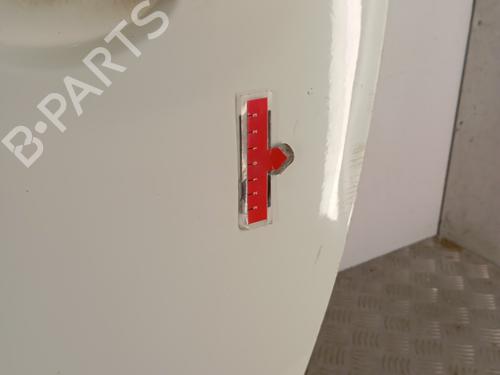 Left front door RENAULT MEGANE III Coupe (DZ0/1_) 1.5 dCi (DZ09, DZ0D, DZ1F, DZ1G, DZ14, DZ29) | BP29338556C2 