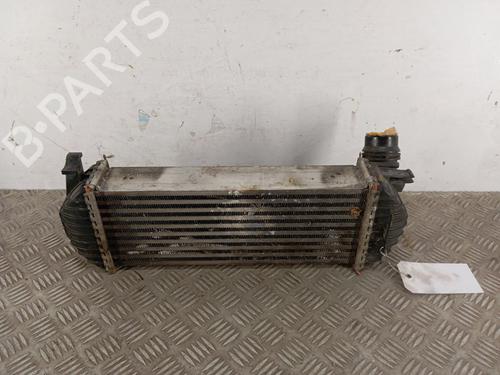 Intercooler MERCEDES-BENZ CITAN Box Body/MPV (W415) 109 CDI (415.601, 415.603, 415.605) | BP29545251M30 