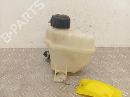 Expansion tank NISSAN QASHQAI / QASHQAI +2 I (J10, NJ10, JJ10E) 1.5 dCi | BP28339513C120 