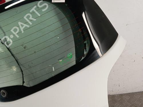 Tailgate RENAULT CLIO III (BR0/1, CR0/1) 1.5 dCi (C/BR0G, C/BR1G) | BP31851220C6 