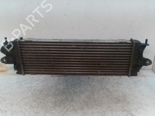 Intercooler RENAULT TRAFIC II Bus (JL) 2.0 dCi 90 | BP28349230M30 