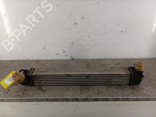 Used Intercooler Intercooler RENAULT MEGANE III Hatchback (BZ0/1_, B3_) 1.2 TCe (BZ2B, BZ11) (116 hp) 30941570 30941570
