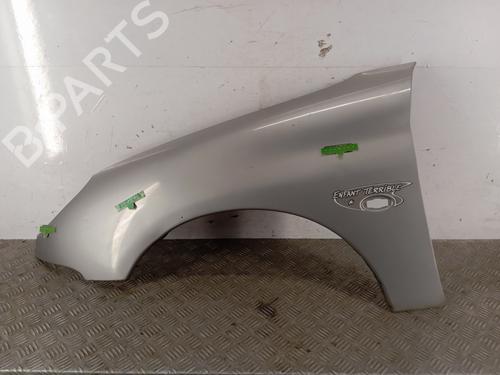 Used Left front fenders PEUGEOT 206 Hatchback (2A/C) 1.1 i (60 hp) 29560817