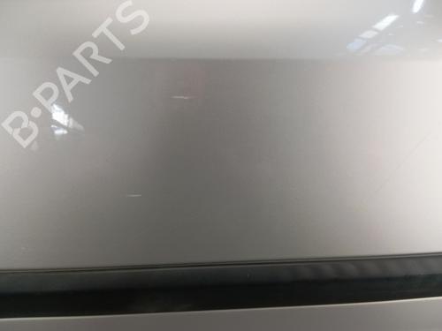 Left front door RENAULT CLIO III (BR0/1, CR0/1) 1.5 dCi (BR17, CR17) | BP29320471C2