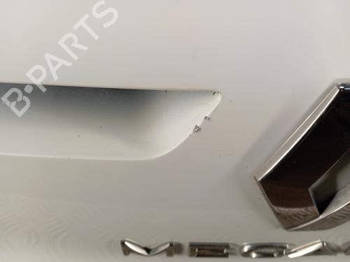 Tailgate RENAULT MEGANE IV Hatchback (B9A/M/N_) 1.5 dCi 110 (B9A3) | BP30696684C6