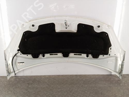 hood-citroen-c3-ii-sc_-2009-28343913 main image