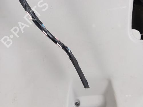Tailgate RENAULT SCÉNIC III (JZ0/1_) 1.5 dCi (JZ02, JZ0R) | BP28345916C6 