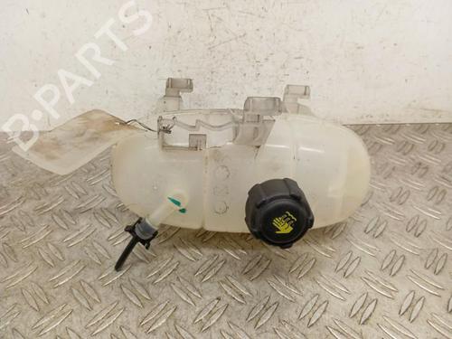 Used Expansion tank RENAULT TRAFIC III Van (FG_) 1.6 dCi 125 (FGMH) (125 hp) 28340277