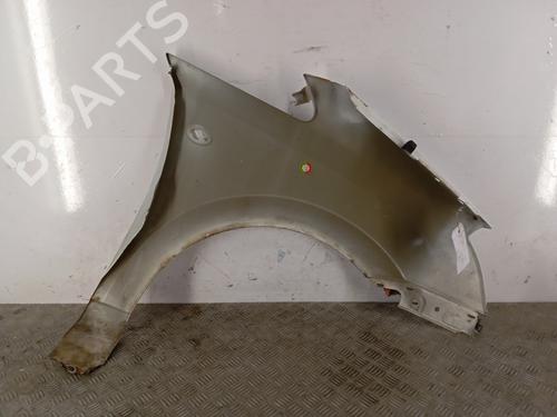 Left front fenders OPEL MERIVA A MPV (X03) 1.7 CDTI (E75) | BP29429216C41 