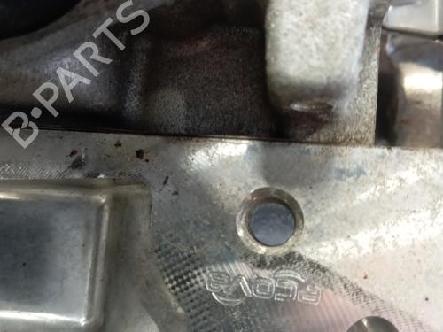 Engine RENAULT TWINGO III (BCM_, BCA_) 0.9 TCe 95 | BP28339855M1 