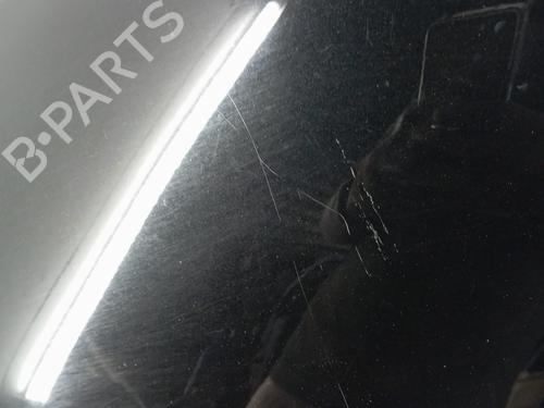 Left front fenders RENAULT SCÉNIC III (JZ0/1_) 1.2 TCe | BP30101332C41