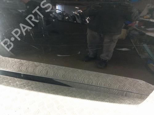 Right front door RENAULT SCÉNIC III (JZ0/1_) 1.6 dCi (JZ00, JZ12) | BP29307337C3 
