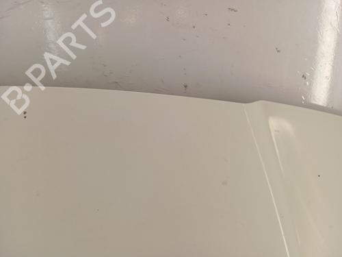 Hood PEUGEOT EXPERT Van (222) 2.0 HDI | BP29845108C1