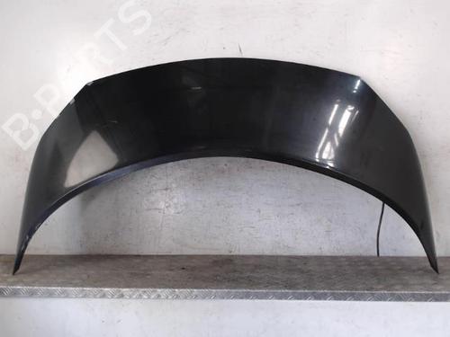Hood RENAULT SCÉNIC II (JM0/1_) 1.5 dCi (JM02, JM13) | BP28340636C1 