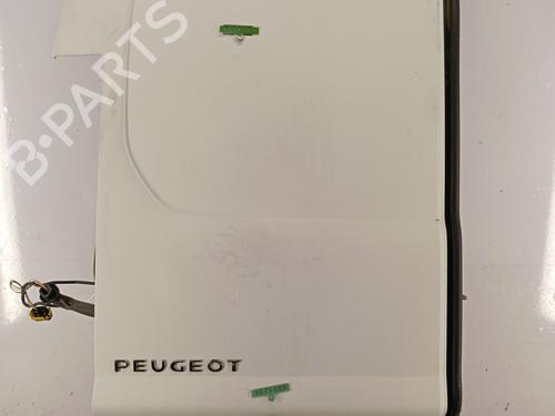 Porta carico posteriore sinistro PEUGEOT EXPERT Van (VF3A_, VF3U_, VF3X_) 2.0 HDi 120 (120 hp) 29494999