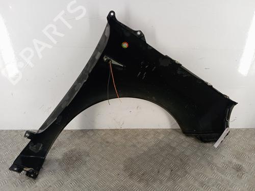 Left front fenders RENAULT SCÉNIC II (JM0/1_) 1.5 dCi (JM1E, JM16) | BP28346979C41 