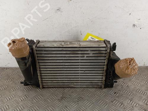Intercooler RENAULT KADJAR (HA_, HL_) 1.6 dCi 130 (HLA4) | BP31176754M30  - Image 6