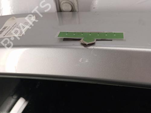 Tailgate RENAULT CLIO III (BR0/1, CR0/1) 1.5 dCi (BR17, CR17) | BP29616516C6 