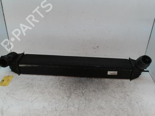 Used Intercooler Intercooler RENAULT LAGUNA III (BT0/1) 2.0 dCi (BT01, BT08, BT09, BT0E, BT0K, BT12, BT1C, BT1D,... (150 hp) 28349219 28349219