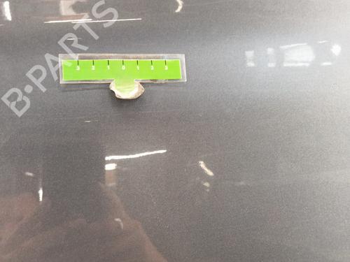 Left slide door CITROËN BERLINGO / BERLINGO FIRST MPV (MF_, GJK_, GFK_) 1.6 HDI 90 (MF9HX) | BP28346660C74 