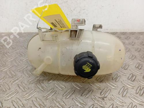 Used Expansion tank RENAULT TRAFIC III Van (FG_) 1.6 dCi 125 (FGMH) (125 hp) 28344353