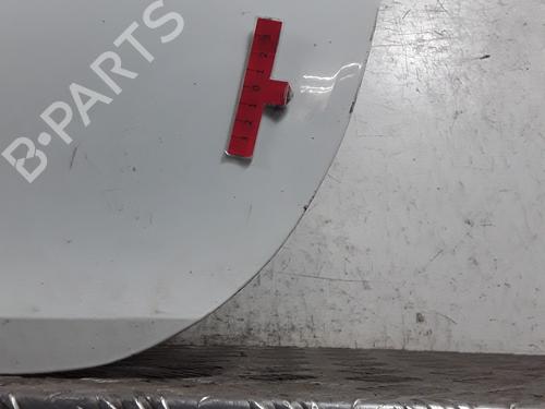 Left front door RENAULT CLIO III (BR0/1, CR0/1) 1.5 dCi (BR17, CR17) | BP28339339C2
