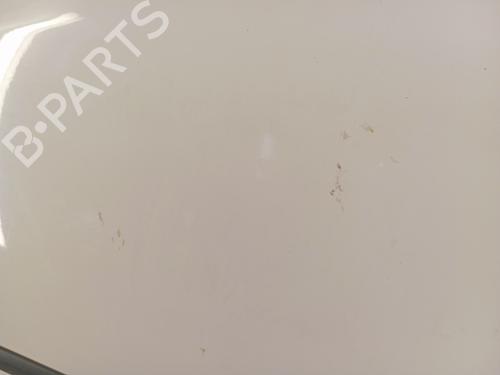 Left front door SKODA FABIA II (542) 1.6 TDI | BP28346990C2 