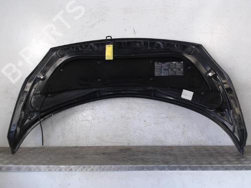 Hood RENAULT SCÉNIC II (JM0/1_) 1.5 dCi (JM02, JM13) | BP28340636C1 