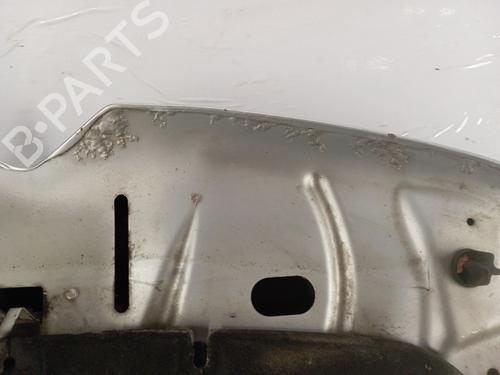 Hood CITROËN C4 II (NC_) 1.6 HDi 115 | BP29598207C1 