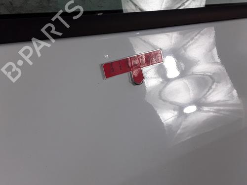 Left front door RENAULT CLIO III (BR0/1, CR0/1) 1.5 dCi (BR17, CR17) | BP28339339C2