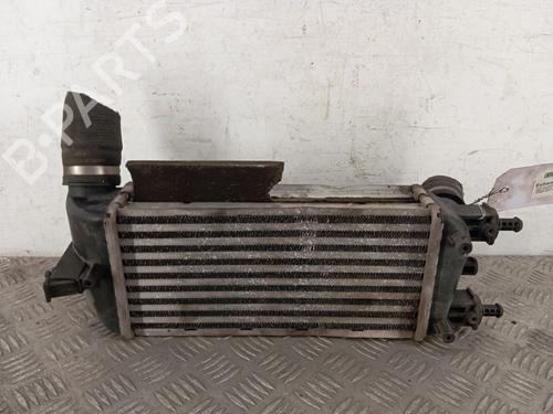 Used Intercooler FIAT 500 (312_) 1.3 D Multijet (312AXB1A) (75 hp) 28348266