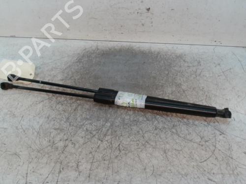 Gasdæmper bagklap DACIA LODGY (JS_) 1.5 dCi (JSMC, JSAF) (107 hp) 28344850