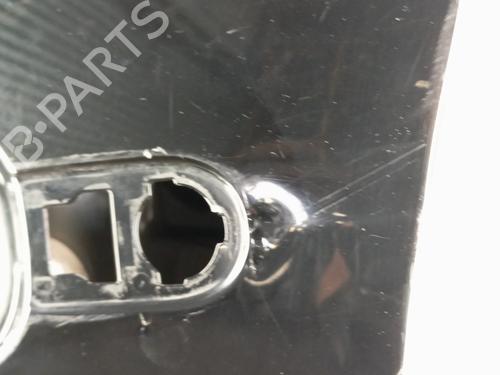 Left front door RENAULT SCÉNIC III (JZ0/1_) 1.6 dCi (JZ00, JZ12) | BP29310918C2 