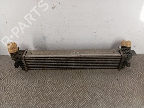 Intercooler RENAULT SCÉNIC III (JZ0/1_) 1.6 dCi (JZ00, JZ12) | BP29545263M30 